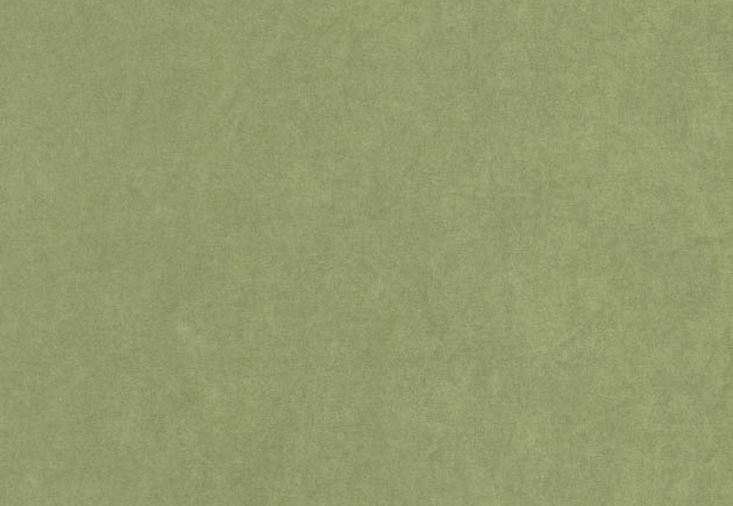 Обои Casadeco Mediterranee MEDI82387512