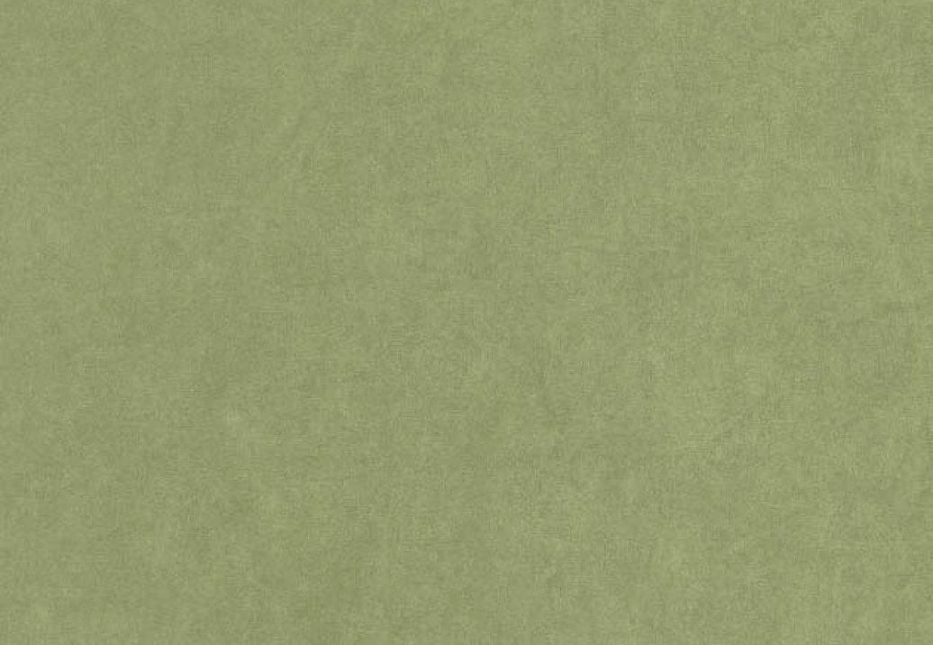 Обои Casadeco Mediterranee MEDI82387512