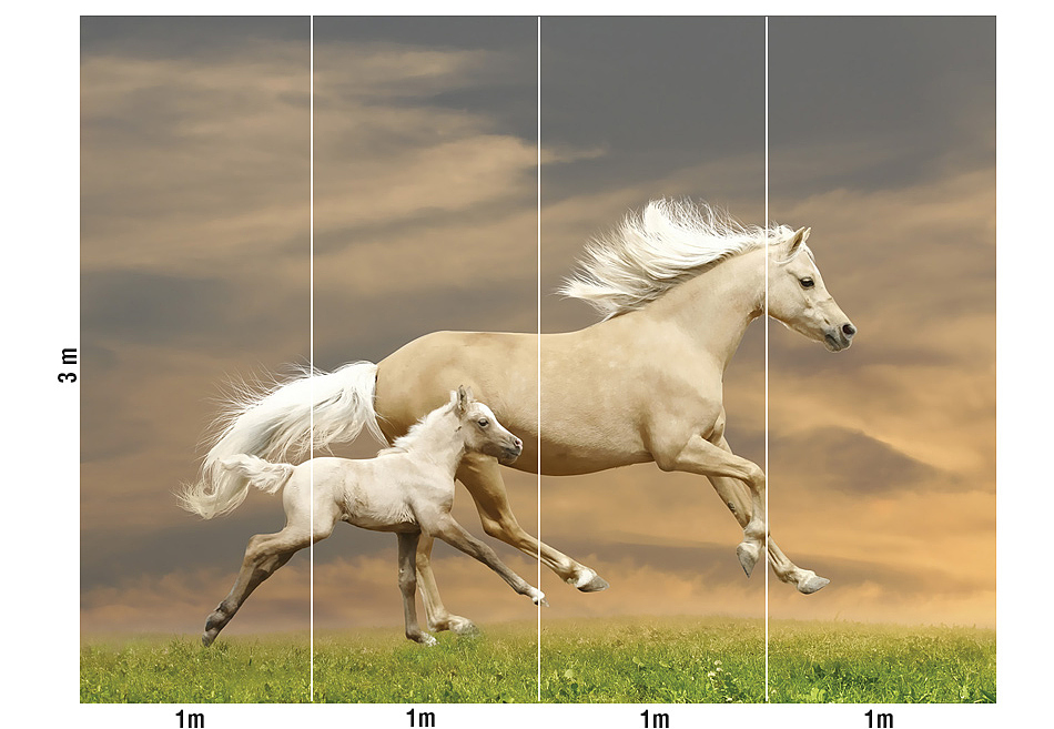 Панно и фотообои Loymina Illusion II DA-004