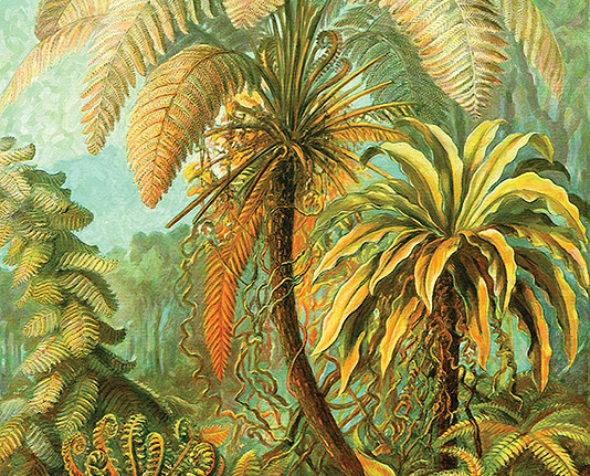 Панно и фотообои Loymina Illusion II DS-024