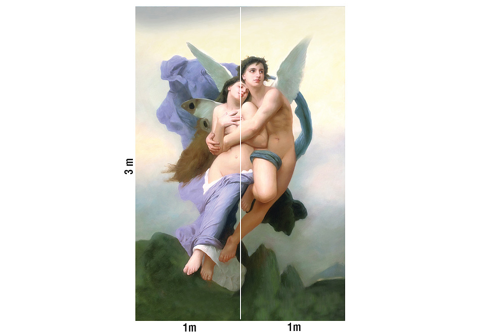 Панно и фотообои Loymina Illusion II DC-042