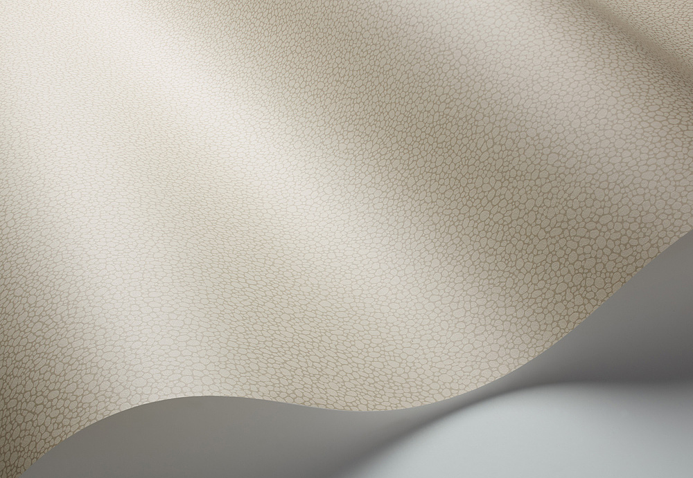 Обои Cole & Son Landscape Plains 106/2019