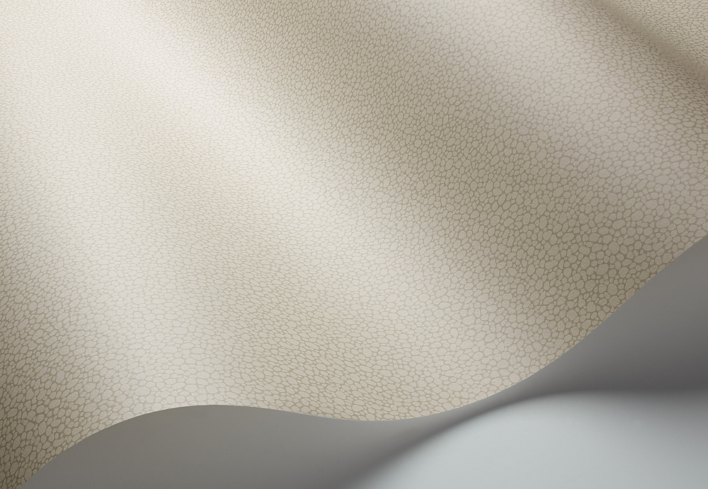Обои Cole & Son Landscape Plains 106/2019