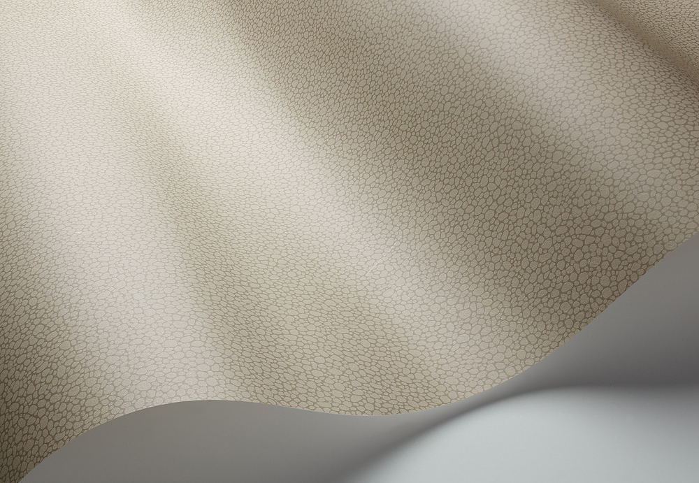 Обои Cole & Son Landscape Plains 106/2020