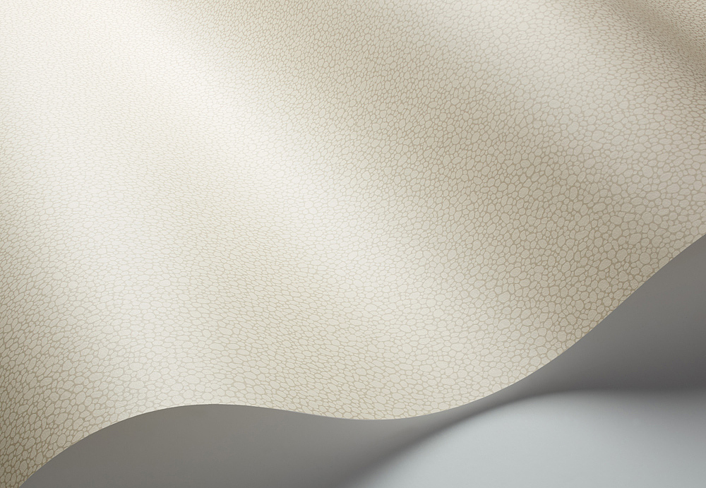 Обои Cole & Son Landscape Plains 106/2022