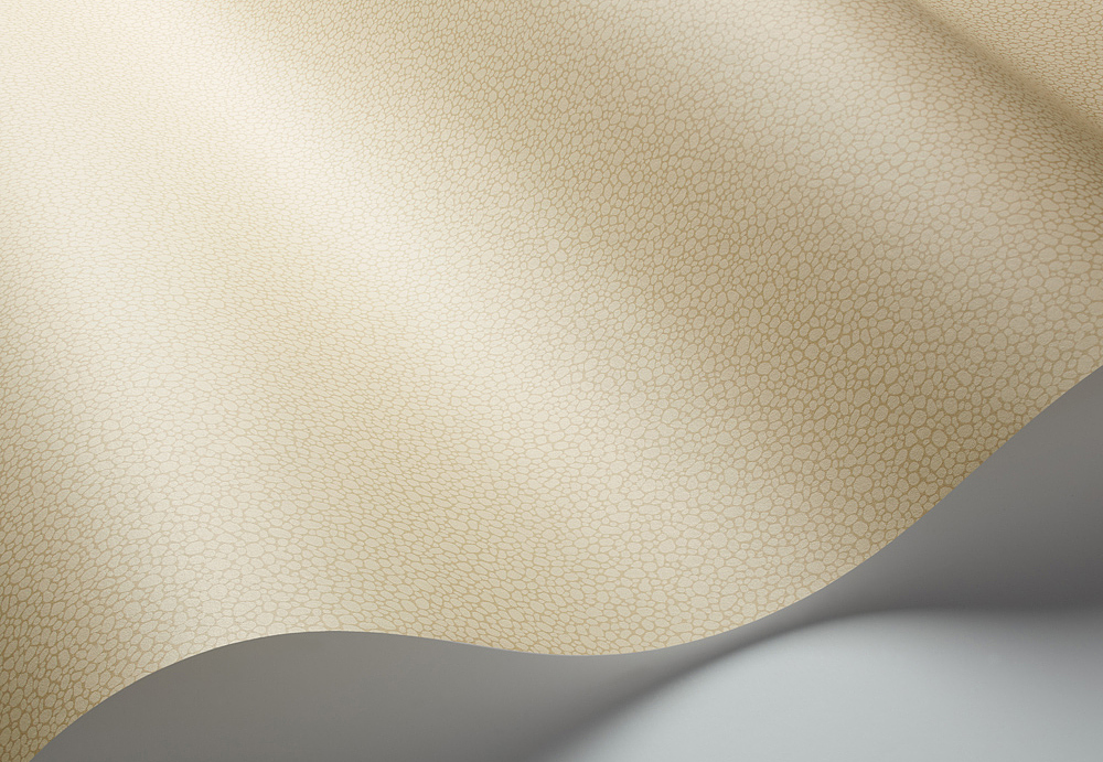 Обои Cole & Son Landscape Plains 106/2024