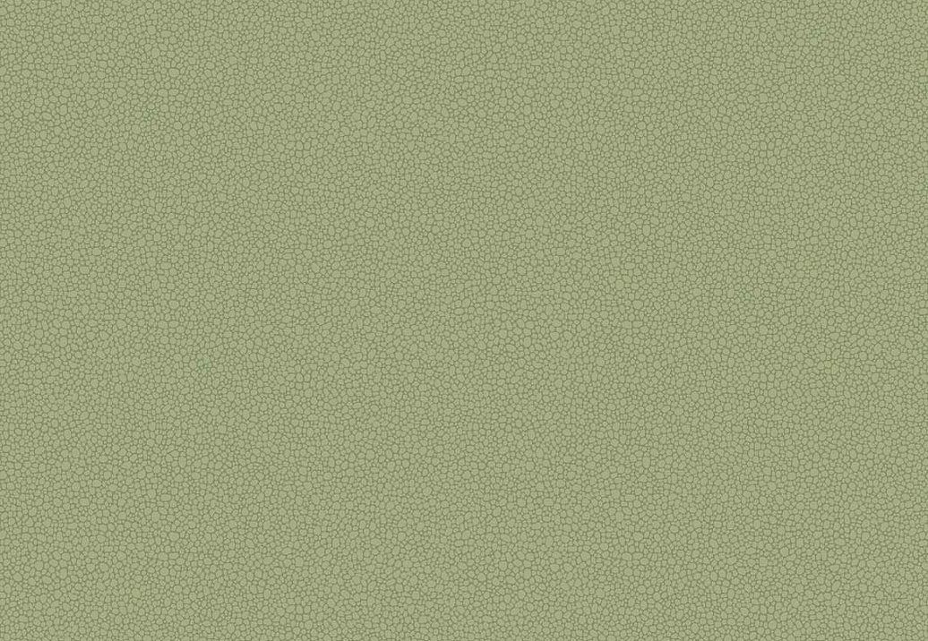 Обои Cole & Son Landscape Plains 106/2026