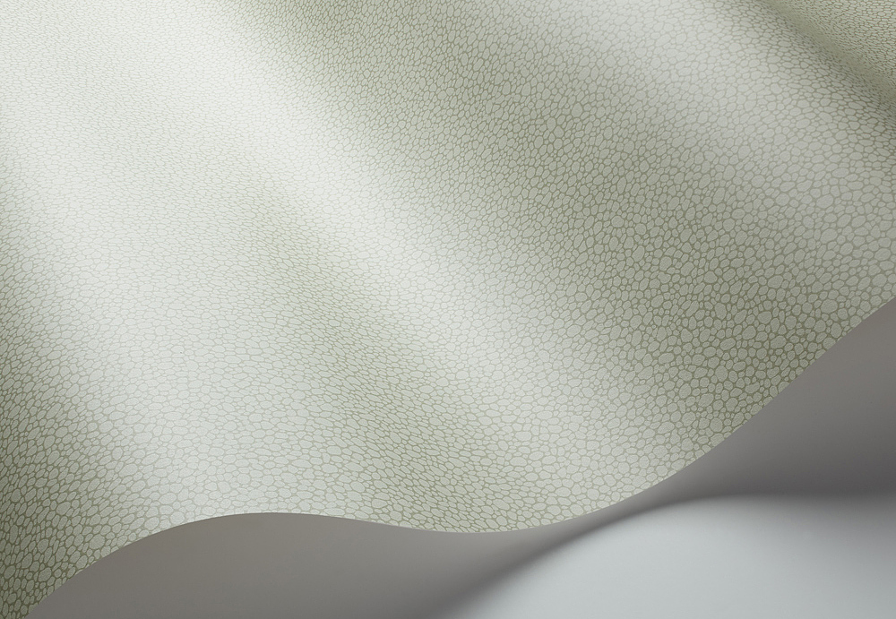 Обои Cole & Son Landscape Plains 106/2027