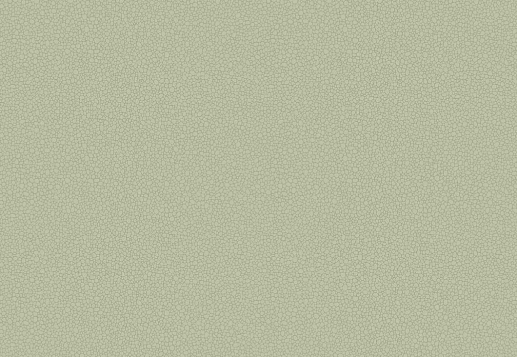 Обои Cole & Son Landscape Plains 106/2027