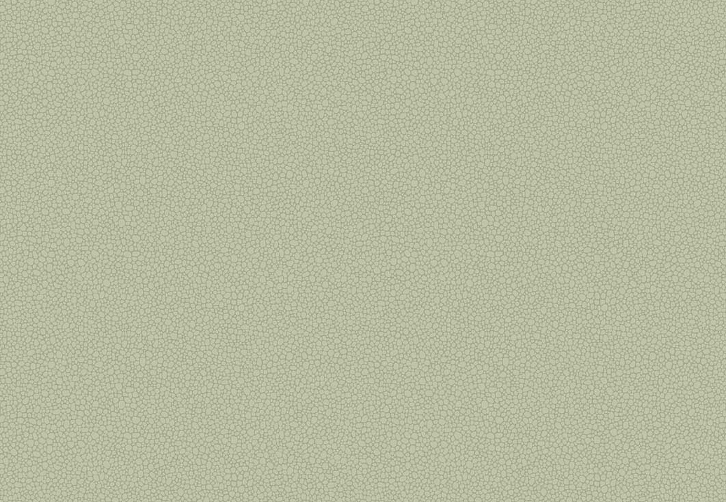 Обои Cole & Son Landscape Plains 106/2027