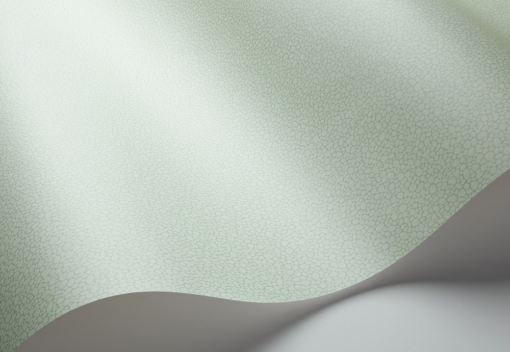 Обои Cole & Son Landscape Plains 106/2028