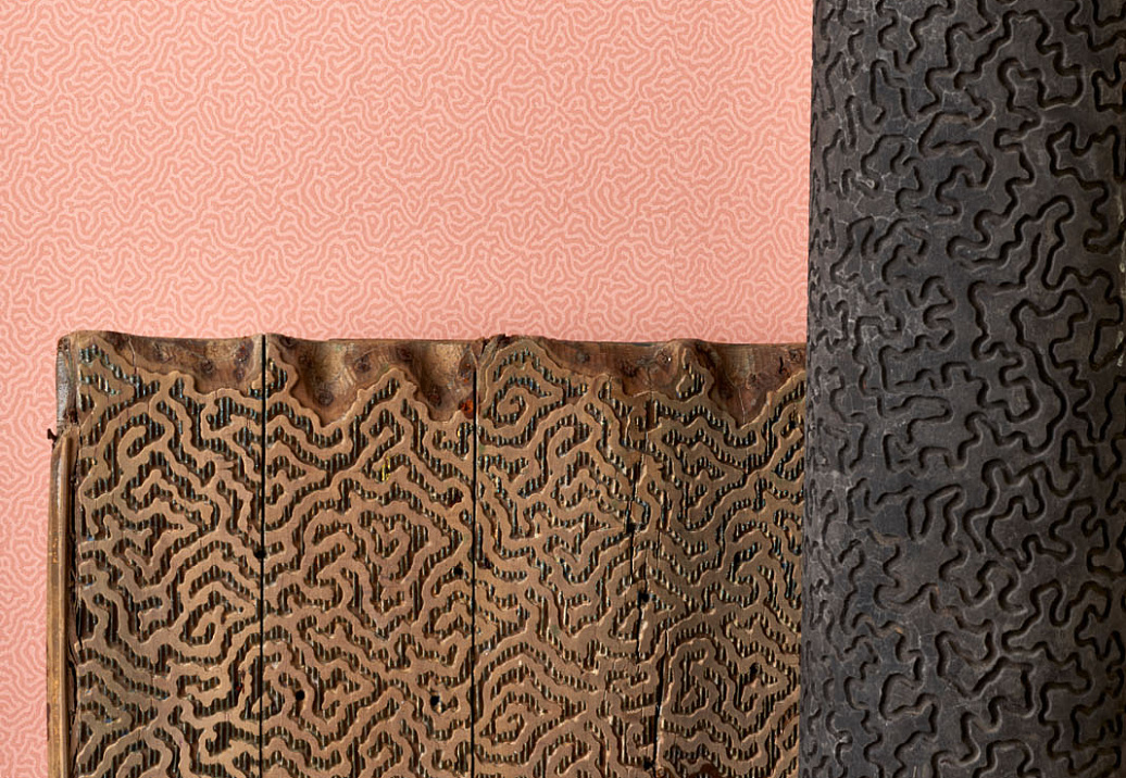 Обои Cole & Son Landscape Plains 106/5075