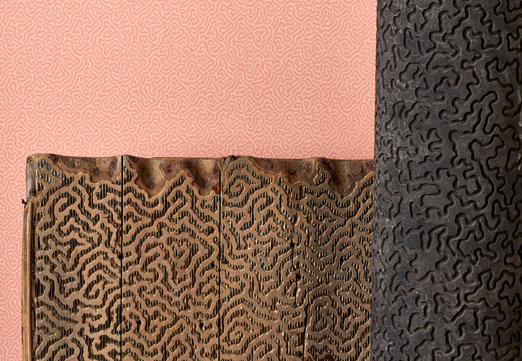 Обои Cole & Son Landscape Plains 106/5075