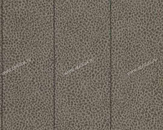 Обои Zoffany Poesy 310179