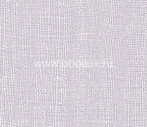 Обои Elitis Soie VP62041