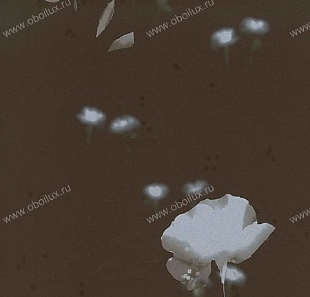 Обои Elitis Sixdesigns TP14002
