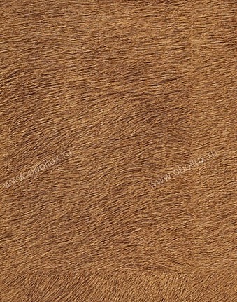 Обои Elitis Memoires VP62509