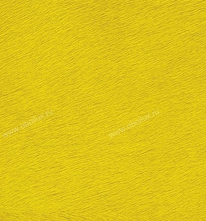 Обои Elitis Memoires VP62519