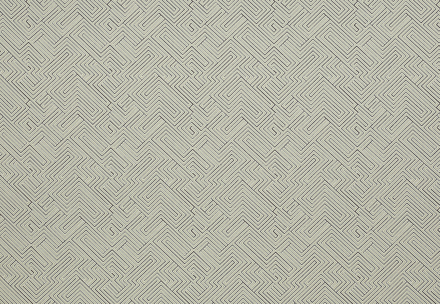 Ткань Manuel Canovas Opio M4015-04