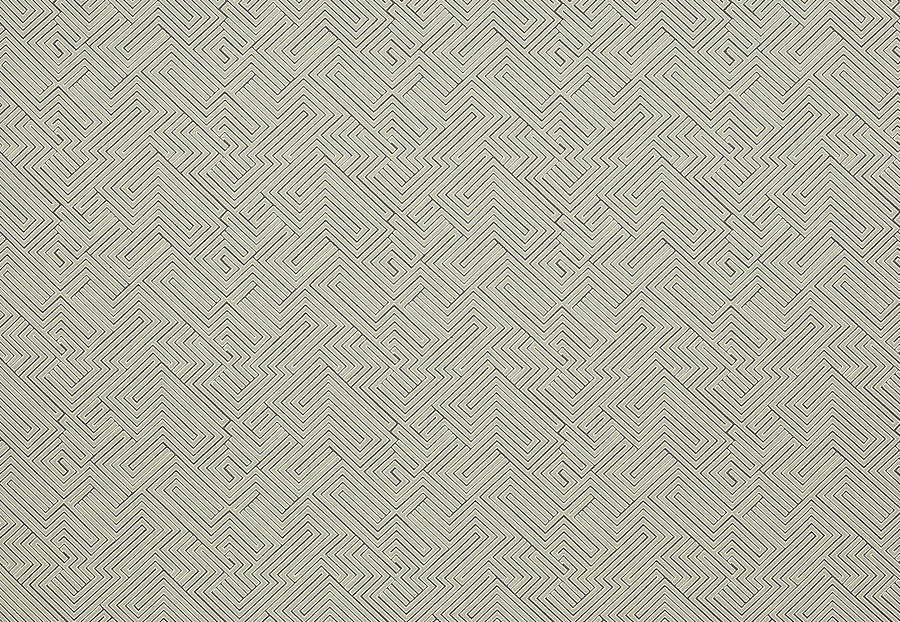 Ткань Manuel Canovas Opio M4015-04