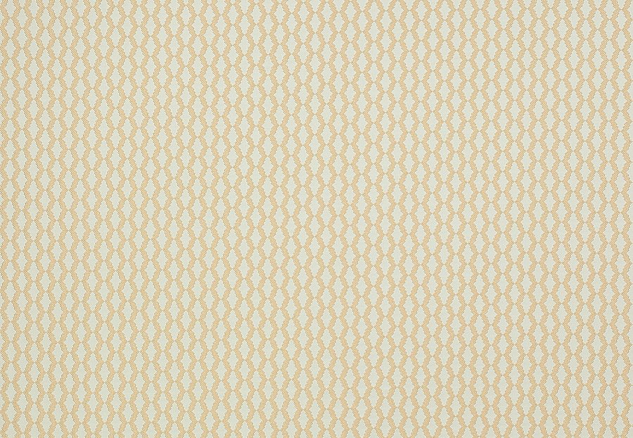 Ткань Manuel Canovas Opio M4016-04