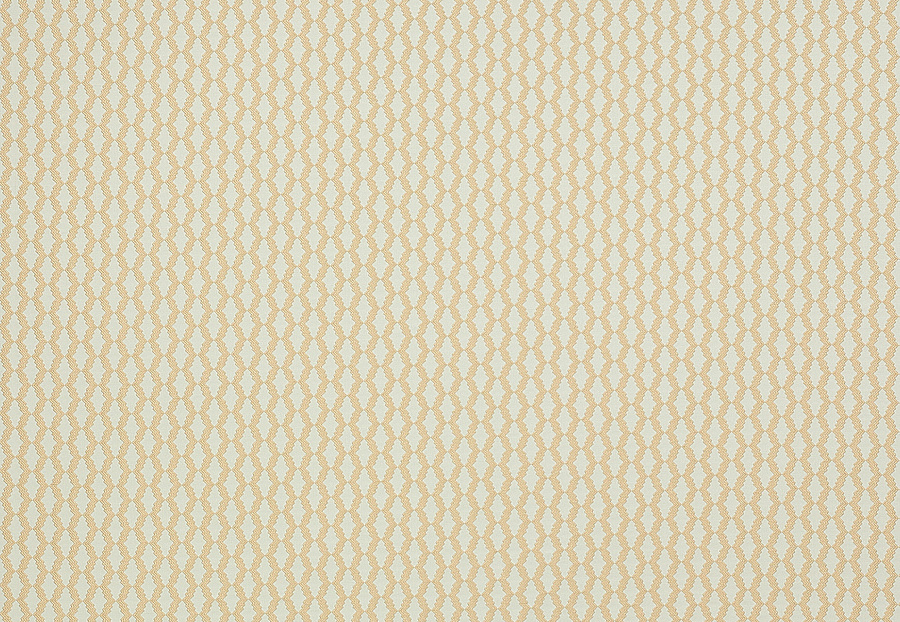 Ткань Manuel Canovas Opio M4016-04