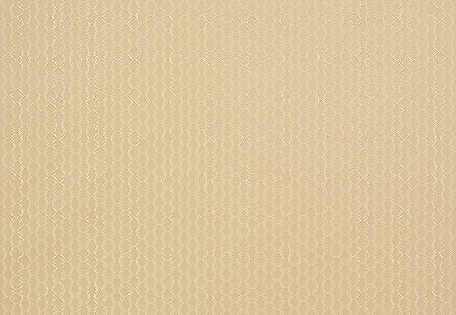 Ткань Manuel Canovas Opio M4016-02