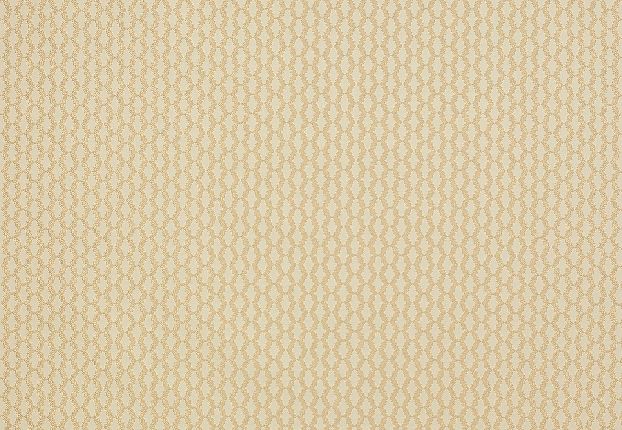 Ткань Manuel Canovas Opio M4016-01