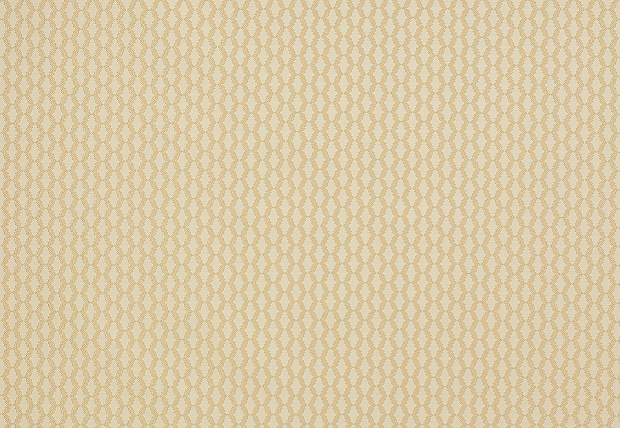 Ткань Manuel Canovas Opio M4016-01