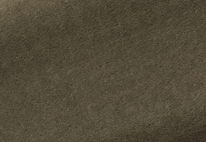 Ткань Pierre Frey Teddy Mohair F2500028