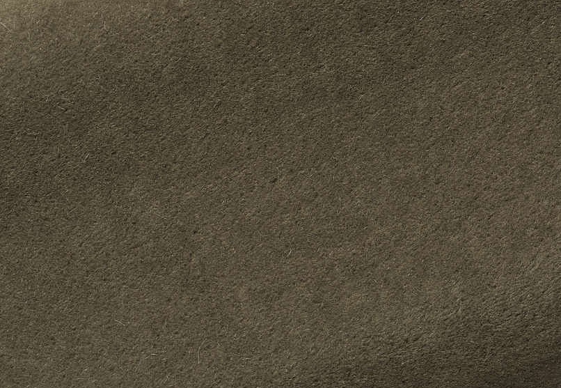 Ткань Pierre Frey Teddy Mohair F2500028
