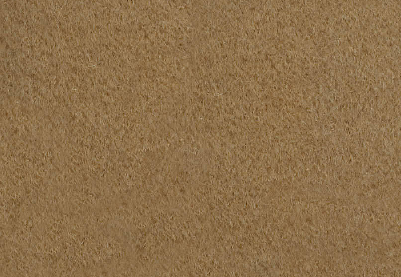 Ткань Pierre Frey Teddy Mohair F2500003
