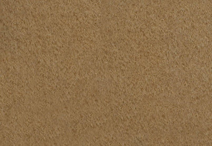 Ткань Pierre Frey Teddy Mohair F2500003