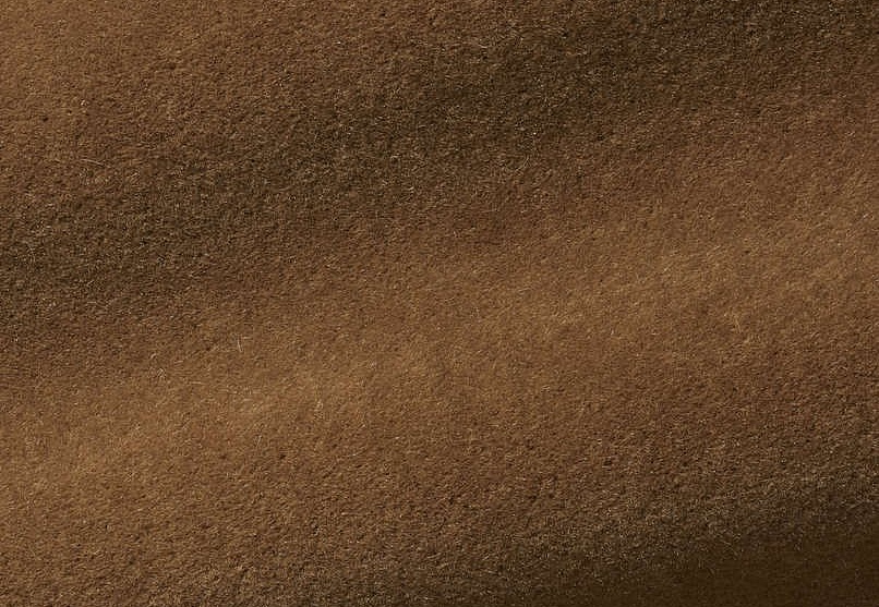 Ткань Pierre Frey Teddy Mohair F2500030