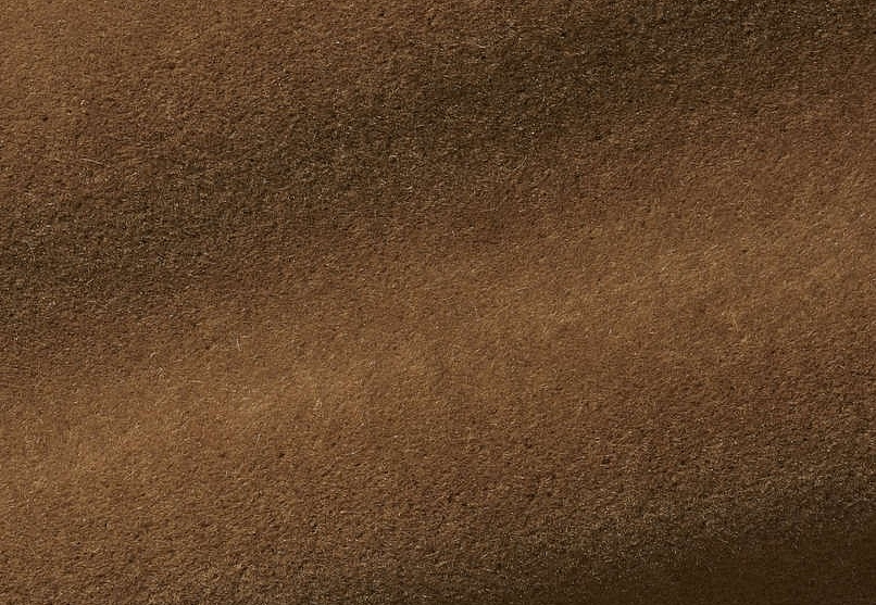 Ткань Pierre Frey Teddy Mohair F2500030