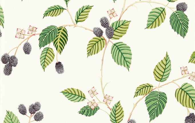 Английские обои Sanderson, коллекция Arboretum, артикул 217227