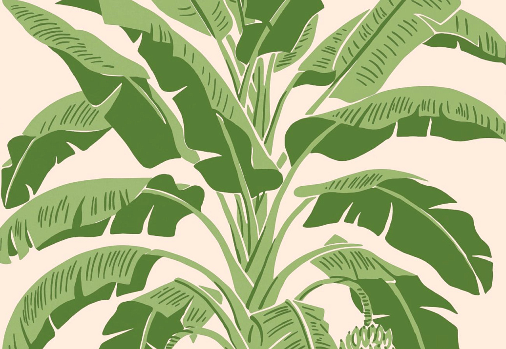 Обои Thibaut Palm Grove T13917