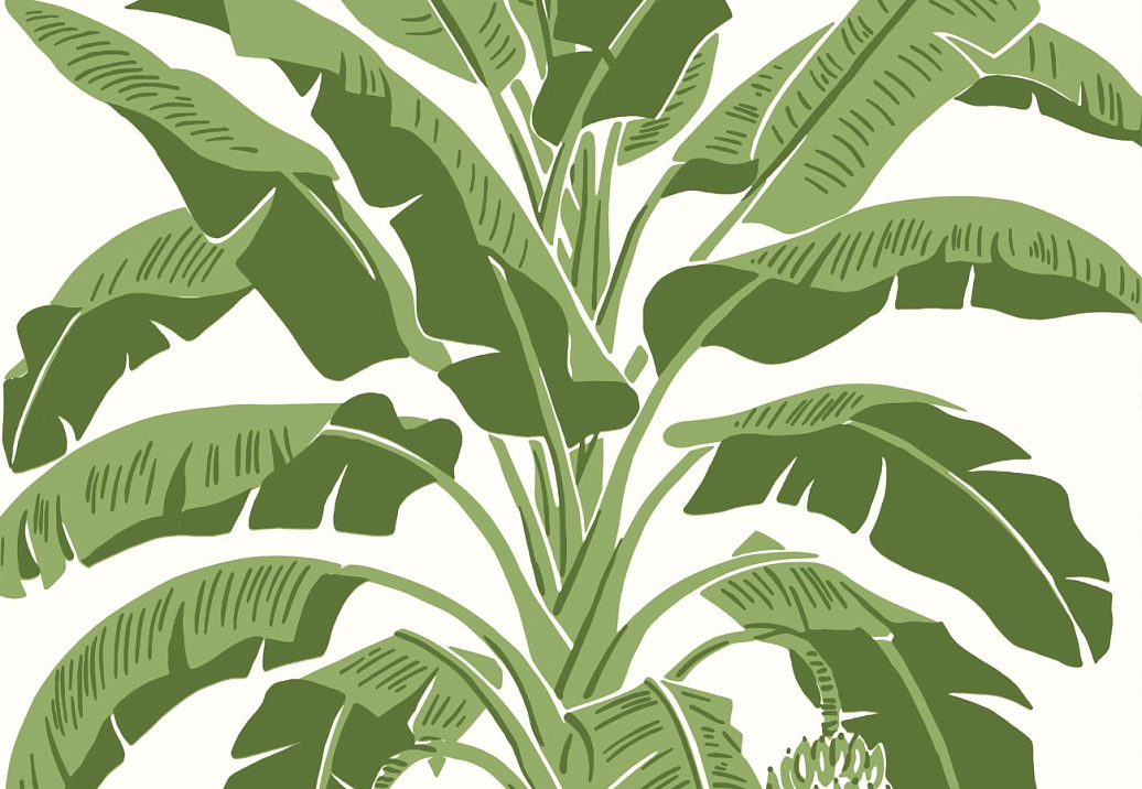 Обои Thibaut Palm Grove T13914