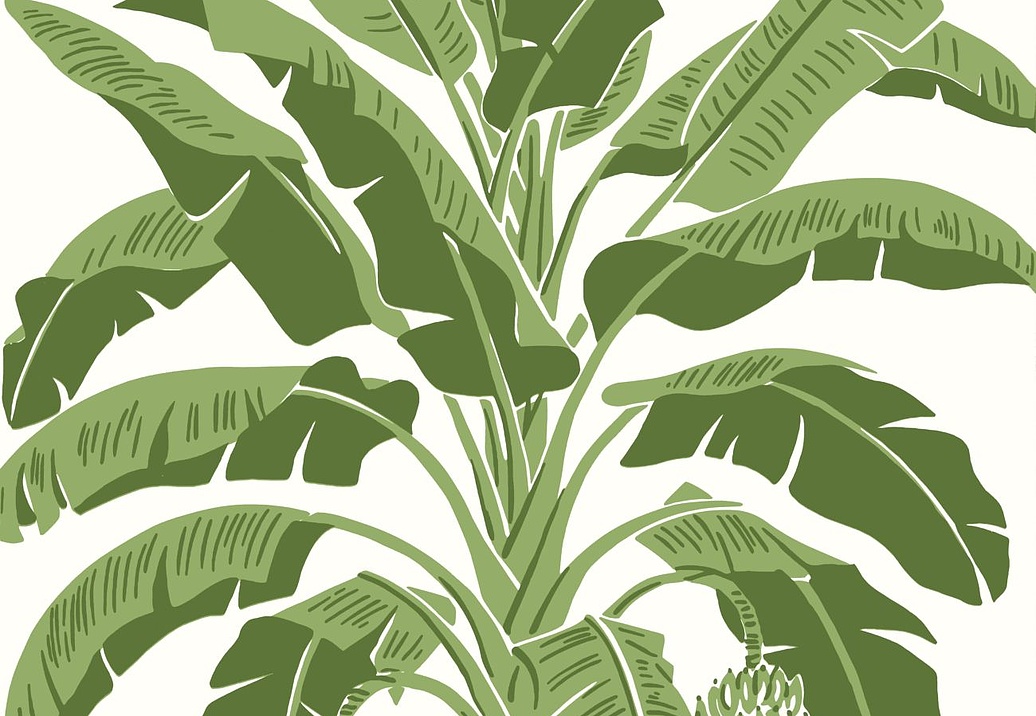 Обои Thibaut Palm Grove T13914