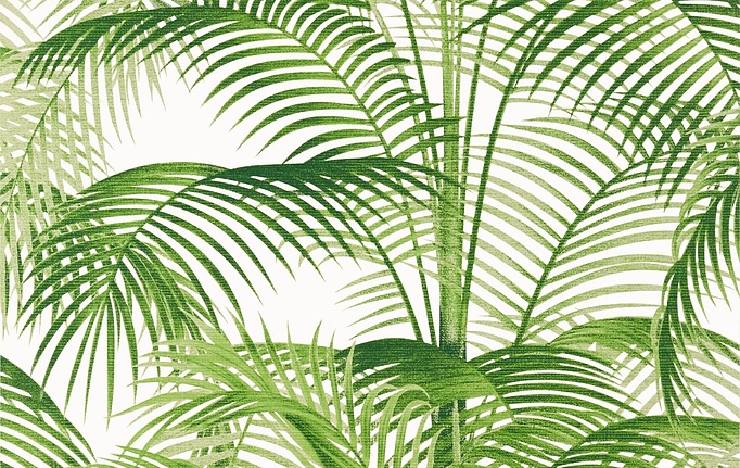 Американские обои Thibaut, коллекция Palm Grove, артикул T13938