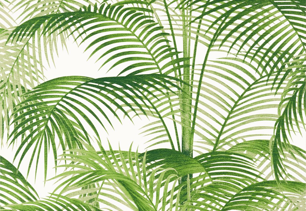 Обои Thibaut Palm Grove T13938