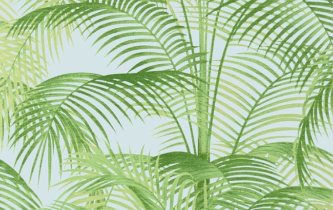 Американские обои Thibaut, коллекция Palm Grove, артикул T13937