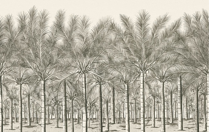 Американские панно и фотообои Thibaut, коллекция Palm Grove, артикул TM13950