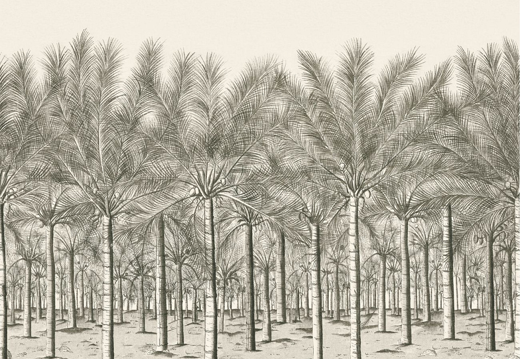 Панно и фотообои Thibaut Palm Grove TM13950