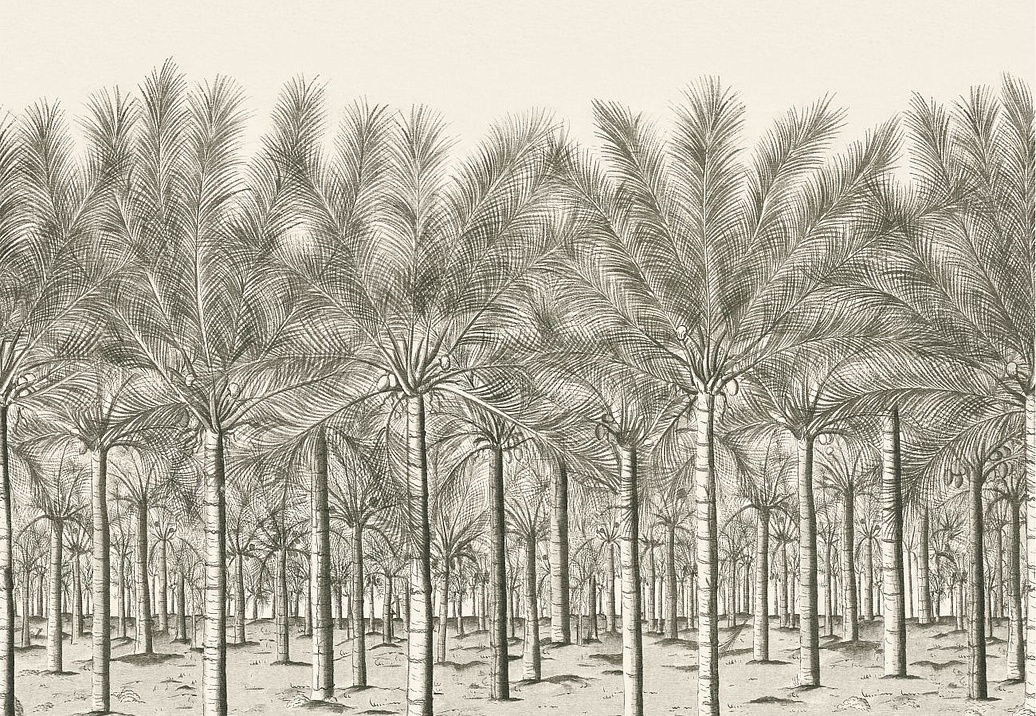 Панно и фотообои Thibaut Palm Grove TM13950