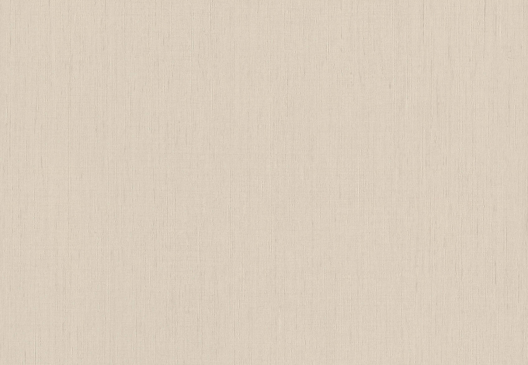 Обои Rasch Indian Style 746044