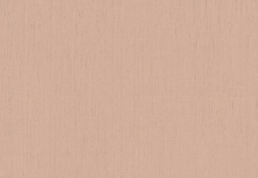 Обои Rasch Indian Style 746075