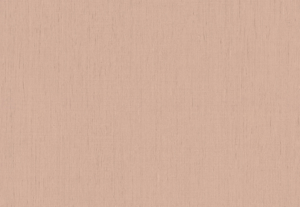 Обои Rasch Indian Style 746075