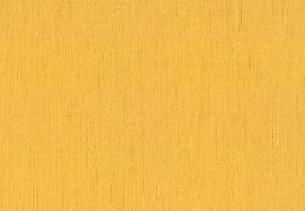 Обои Rasch Indian Style 746082