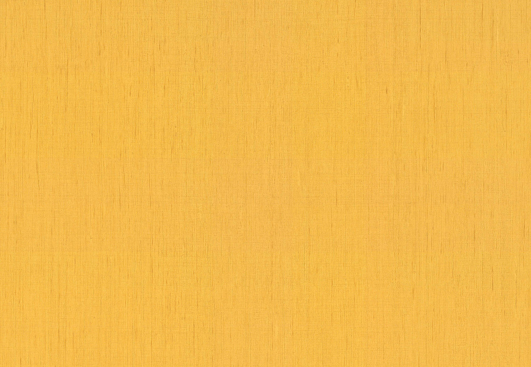 Обои Rasch Indian Style 746082
